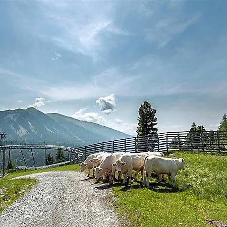 Hotel In Alps Near Station 2*